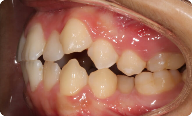 Conseil pour les praticiens de l'orthodontie